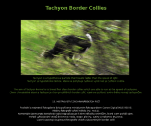 tachyonbc.cz: Tachyon Border Collies Home Page
Tachyon Border Collies - The aim of Tachyon kennel is to breed first class border collies which are able to run at the speed of tachyons. Agility photos. Cílem chovatelské stanice Tachyon je chov prvotřídních border collií, které se rychlostí svého běhu rovnají tachyonům. Agility fotografie. Chovatelská stanice Tachyon štěňata border kolie