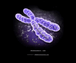 chromosome11.com: chromosome11 .com
chromosome11.com  The countdown has begun