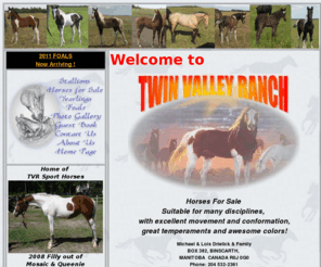 twinvalleyranch.com: Draft Cross Sport Horses For Sale by Twin Valley Ranch - Paint,
Percheron,Thoroughbred,Belgian,Warmblood
Twin Valley Ranch, home of TVR Sport Horses. Breeders of draft cross horses with excellent temperaments, unique colours, suitable for many disciplines.