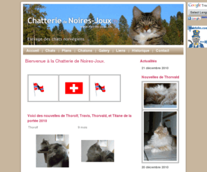 noires-joux.ch: Chatterie de Noires-Joux
Chatterie Noires-joux. Elevage de chats norvégiens à la chaux-de-fonds.