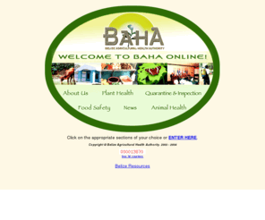 baha.bz: Welcome to Baha Online
