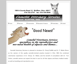 camelidvetservices.com: Camelid Veterinary Services-Findlay/Bluffton, Ohio: Alpaca & llama medicine.
Camelid Veterinary Services - specializing in camelid medicine and serving all alpaca and llama wellness needs. Dr. Cheryl DeWitt and Dr. Walter Bravo.