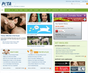 peta-online.com: People for the Ethical Treatment of Animals (PETA): The animal rights organization | PETA.org
PETA's animal rights campaigns include ending fur and leather use meat and dairy consumption fishing hunting trapping factory farming circuses bull fighting rodeos and animal experimentation