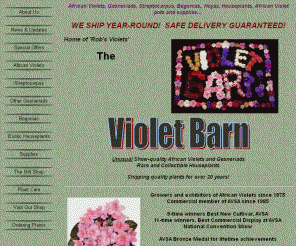 violetbarn.com: The Violet Barn - Home of Rob's Violets
African violets, and rare and unusual flowering houseplants.  Shipping to satisfied customers world wide since 1985.