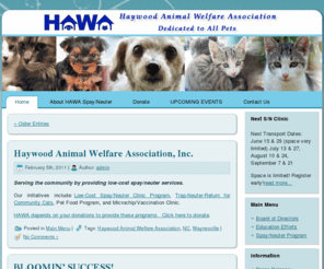 hawapets.com: Haywood County Animal Welfare - Home
Haywood County Welfare Association