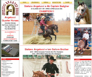 angelucciqh.com: ANGELUCCI QUARTER HORSES Cerveteri
