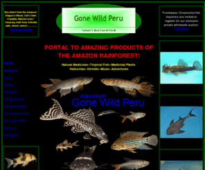 gonewildperu.com: Gone Wild Peru
Collectors and exporters,Gone Wild Peru, the first ornamental fish export aquarium in Madre de Dios, Tambopata, Puerto Maldonado, Peru.