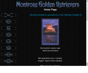 montrosegoldens.com: Montrose Golden Retrievers
We specialize only in Quality English Type Creme Goldens.