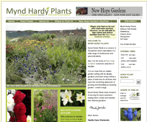 myndhardyplants.co.uk: Mynd Hardy
Mynd Hardy Plants is a nursery in Shropshire which specialises in a wide range of herbaceous and perennial plants.
