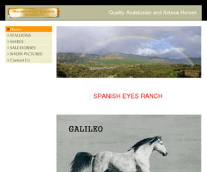 spanisheyesranch.com: Home - Spanish Eyes Ranch
Spanish Eyes Ranch a small breeder of Quality Pure Spanish horses, breed with care and the best bloodlines, Also home of the Azteca Stallion Oro Blanco, National Champion