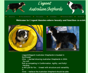 legantaussies.com: Austalian Shepherds Ohio L'egant Australian Shepherds Ohio
L'egant Austalian Shepherds(Aussies) is located in North west ohio.  I've Shown Australian Shepherds in Conformation since 2004.  Australian Shepherd puppies available occasionally.