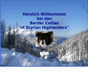 borderfun.com: Borderfun
Alles über unsere Hunde 