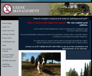 geesemanagement.com: Geese Management - Goose Control in PA NJ DE MD
Geese Management is contracted service that provides goose control for properties using specially trained Border Collies and other techniques.Servicing PA, NJ, DE and MD.