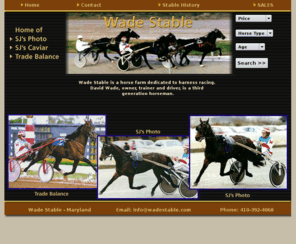 wadestable.com: Welcome to Wade Stable
Wade Stable is a horse farm dedicated to harness racing.