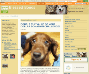 blessedbonds.com: Best Friends Network -  Social Networking that saves lives
The Best Friends Network - A social networking online community dedicated to saving animals lives through forums, resources, and news.