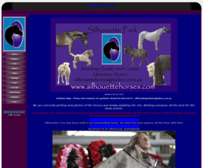 silhouettehorses.com: Home - Silhouette Park
Breeding quality and correct horses for halter and performance.  Specialising in Part Arabians and Miniature Horses.