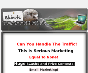 website-traffic-hog.com: 
Get Quality Traffic For Your Website Now.