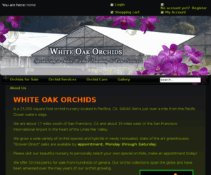 whiteoakorchids.com: Orchids for Sale
A boutique Orchid nursery that offers Orchid boarding, Orchid care and Grower direct sales of plants. Orchid species and Hybrids for sale