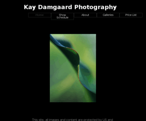 kaydamgaard.com: Kay Damgaard Photography
macro photography, flower photography, macro flower photography, close-up photography, soft focus photography, soft focus macro photography, close-up flower photography, 