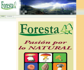 eforesta.es: Inicio - FORESTA
foresta setas boletus silvestre calidad