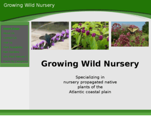 growingwildnursery.com: Growing Wild Nursery - Coastal Plain Native Plants
specializing in nursery propagated Atlantic coastal plain native plants