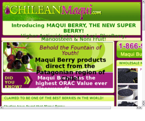 maquiextracts.com: Wholesale Maqui Berry: Maqui Super Berry,  Maqui Weight Loss, Freeze Dried Maqui
Largest provider of wholesale maqui berry.  All natural (not from concentrate) water soluble freeze dried maqui berry powder straight from Chile.