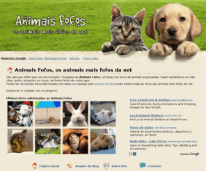 animaisfofos.com: Animais Fofos - Fotos dos animais mais fofos da net
Animais Fofos é um blog com fotos de animais engraçadas. Sejam domésticos ou não, cães, gatos, piriquitos ou ursos, se forem fofos vão estar aqui.