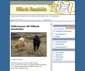 minmudi.com: Hillevis Hundsida
