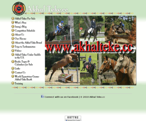 akhalteke.cc: Welcome to Akhal Teke.cc!
Breeding, Sales, Training, and Eventing of Purebred Akhal-Teke horses