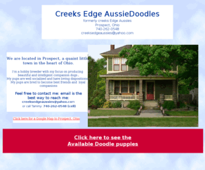 creeksedgeaussies.com: index
