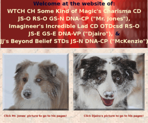 aussie-jonesie.com: Valeries Aussies Home
Australian Shepherd, Aussie, Mr Jones, Djairo,
Red merle males CH Some Kind of Magic's Charisma, Mr. Jones, Jonesie, Imagineer's Incredible Lad, Valerie Hoosemans