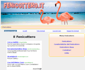 fenicottero.it: FENICOTTERO .IT - Il Fenicottero
I fenicotteri, tra i quali conosciamo soprattutto il fenicottero rosa, sono dei particolari uccelli dalle zampe lunghissime e dal becco robusto e piegato. Ecco le caratteristiche che contraddistinguono i fenicotteri.