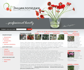 info-flowers.com: Энциклопедия комнатных цветов и растений
На сайте Вы можете найти полезную информацию относительно выбранных Вами растений для своего дома или офиса, узнать, насколько подходит то или иное растение для условий Вашей квартиры. Здесь представлены сотни названий цветов и декоративных растений, которые можно использовать как для садового фитодизайна, так и для фитодизайна интерьера жилых помещений.