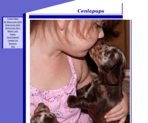cenlapups.com: Cenla Pups
Valentines puppy, Cenla Pups, Puppy, Dachshund puppy, weenie dog, puppy for sale, Miniature Dachshund, AKC, Puppies Alexandria Louisiana, Puppies Pineville Louisiana