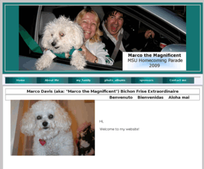 marcodavis.com: Welcome Page for Marco Davis Bichon Frise Hypo-allergenic
