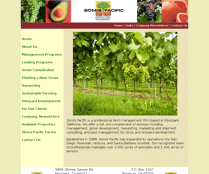 somispac.com: A Farm Management Company Specializing in Avocado and Lemon Groves and Orchards as well as vineyard development.
Somis Pacific Farms is a professional farm management company based in Camarillo, CA. Services include: avocado farm management, avocado grove development, avocado leasing grove management.