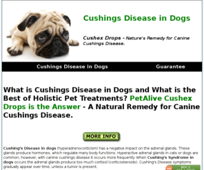 autobodyarvada.com: Cushings Disease in Dogs - Try Cushex Drops -  Canine Cushings Disease
Cushings disease in dogs. Try PetAlive Cushex Drops - one of the best holistic pet treatments available for cushings syndrome in dogs. Manage canine cushings disease without hurting your dog.