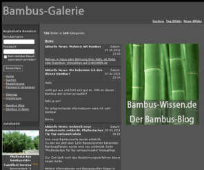 bambusgallerie.de: Bambusgalerie.de - Das Bildarchiv der Bambuspflanzen
Die große Bildarchiv der Bambusse mit vielen fachlichen Bambusinformationen und Beiträgen rund um den Bambus