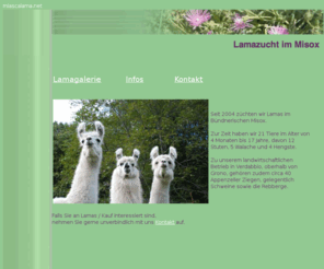 miascalama.net: Miasca Lama
