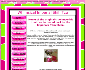 tinyimperialshihtzus.com: Tiny Imperial Shih Tzu, Teacup Shih Tzu, Whimsical Chinese Imperials
Breeder of Imperial Shih Tzu Puppies and Chinese Imperial Dogs, Tiny Imperial Shih Tzu, 
Tiny Shih Tzu, Home Raised, Health Guarantee. Beautiful Chinese Imperial Puppies, shih tzu puppies for sale