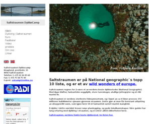 saltstraumen-divecamp.com: Hjem - Saltstraumen Dykkecamp
Dykking i Saltstraumen er garantert noe av det flotteste du som dykker kan oppleve. Vi har de beste guidene med mange års erfaring fra området. Se Vebjørn Karlsens fantastiske bilder.