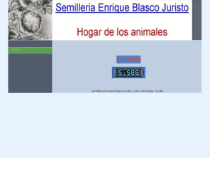 semilleriaebj.com: Inicio - Semilleria Enrique Blasco Juristo
Semilleria Enrique Blasco Juristo. Hogar de Mascotas donde encontrará información sobre esos maravillosos seres queridos, consejos acerca de sus cuidados, las mejores imágenes y ayuda.