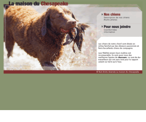 lamaisonchesapeake.com: La Maison du Chesapeake chenil éleveur chiens de chasse
