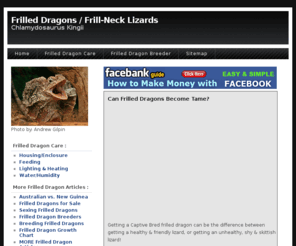 frilled-dragon.com: Frilled Dragons | Frill-Necked Lizards
Learn everything about frilled dragons. How to care for and where to get a captive bred frilled dragon.