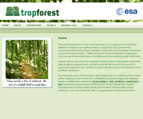 tropforest.info: Trop Forest
