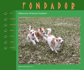 fondador.se: Fondador kennel - Kromfohrländer hundar
