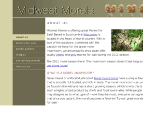 midwest-morels.com: Midwest Morels For Sale
Morels For Sale. Mushrooms Morels for Sale. Morel Mushrooms for Sale at Midwest Morels - great prices and great quality.