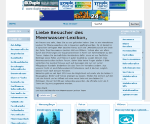 meerwasser-lexikon.de: Meerwasser-Lexikon.de
Meerwasser-Lexikon.de: Informationen, Erfahrungen und TIPS von Meerwasseraquarianern 