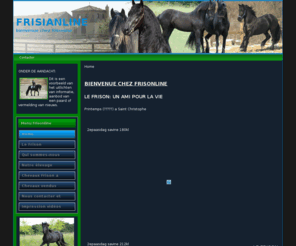 frisianline.com: Frisonline, cheval frison a vendre / chevaux frison a vendre
Bienvenue chez frisonline, le frison un ami pour la vie.
Cheval frison a vendre
Chevaux frison a vendre