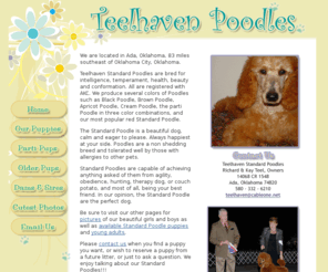 teelhavenpoodles.com: AKC Registered Red Standard Poodles for Sale and Parti Poodles for sale
Standard Poodle pupppies for sale from a reputable Standard Poodle Breeder. Located in Ada, Oklahoma. We specialize in red Standard Poodles and Parti Standard Poodles.